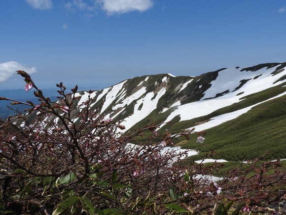 f0118332_1374174.jpg