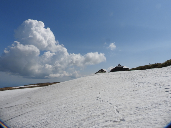 f0118332_1393939.jpg