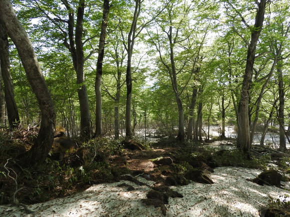 f0118332_143455.jpg