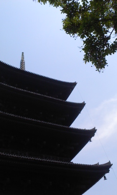 c0246034_120515.jpg