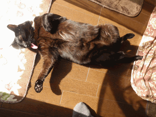 c0136736_21542380.gif