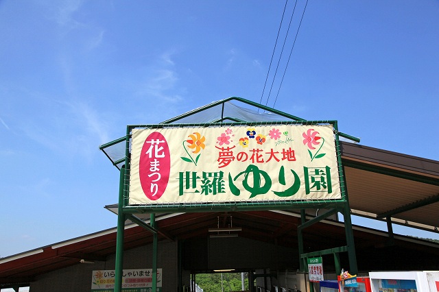 a0242438_19503122.jpg
