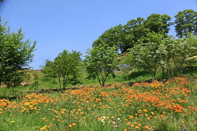 a0242438_19505326.jpg