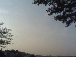 e0150843_23332063.jpg