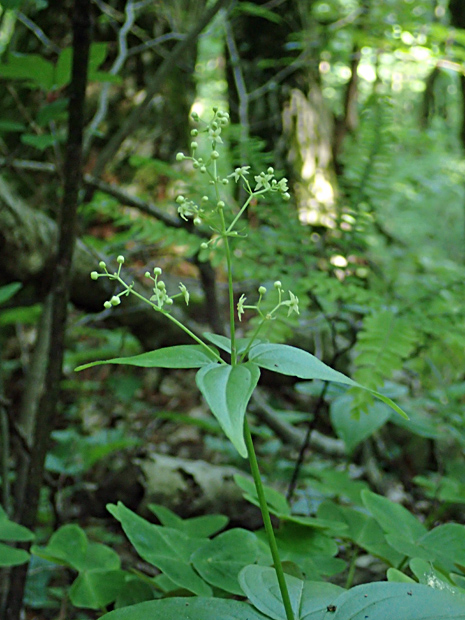 f0214649_61731.jpg