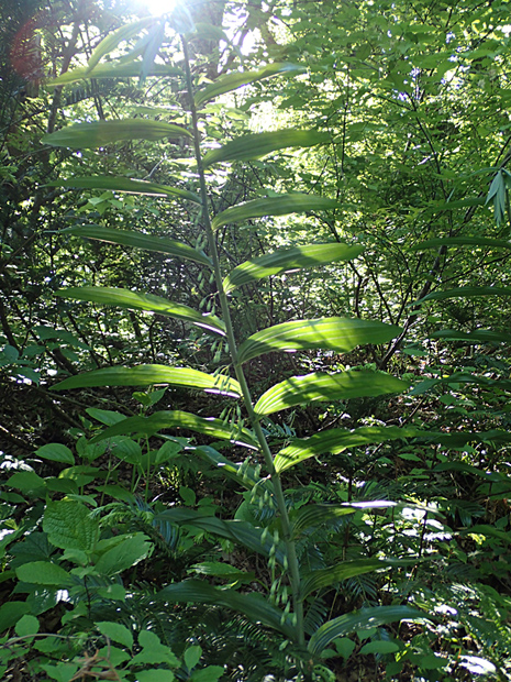 f0214649_65269.jpg