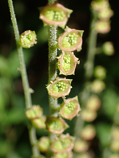f0214649_67737.jpg