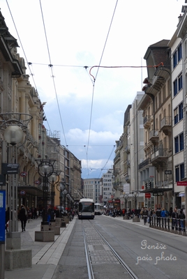 c0206758_044122.jpg
