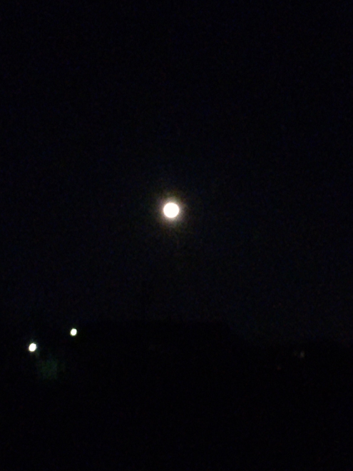 f0203061_21313897.jpg