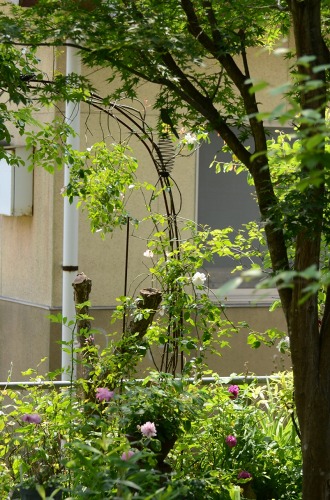 c0186463_1303551.jpg