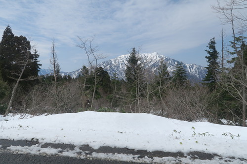 d0029363_1465314.jpg