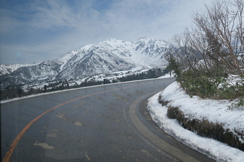 d0029363_1472242.jpg