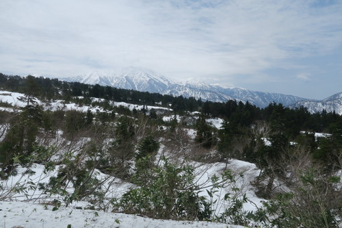 d0029363_147847.jpg