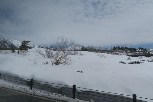 d0029363_14818.jpg