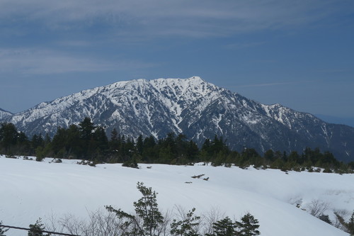 d0029363_1482475.jpg