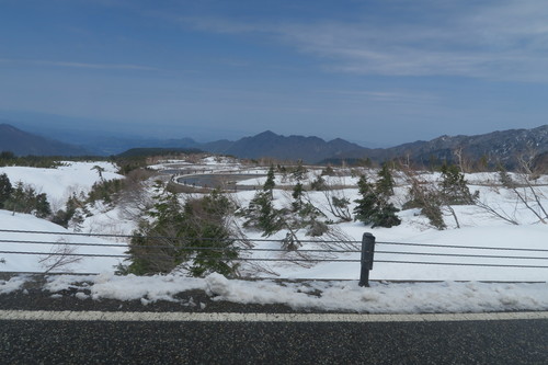 d0029363_1483259.jpg