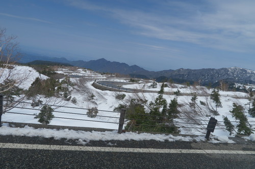 d0029363_148398.jpg