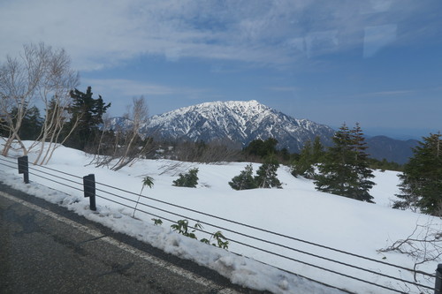 d0029363_1484754.jpg