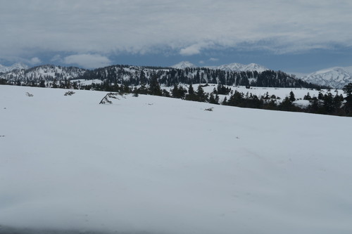 d0029363_1491479.jpg