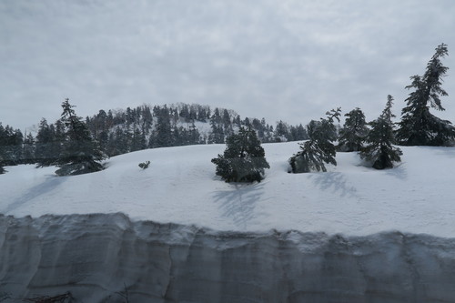 d0029363_1493932.jpg