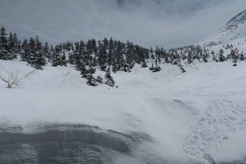 d0029363_1494988.jpg