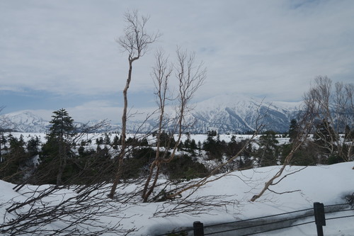 d0029363_149569.jpg