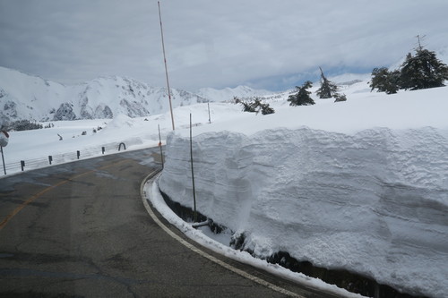 d0029363_1501100.jpg