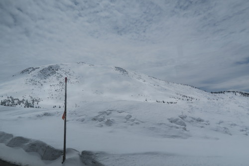 d0029363_150299.jpg