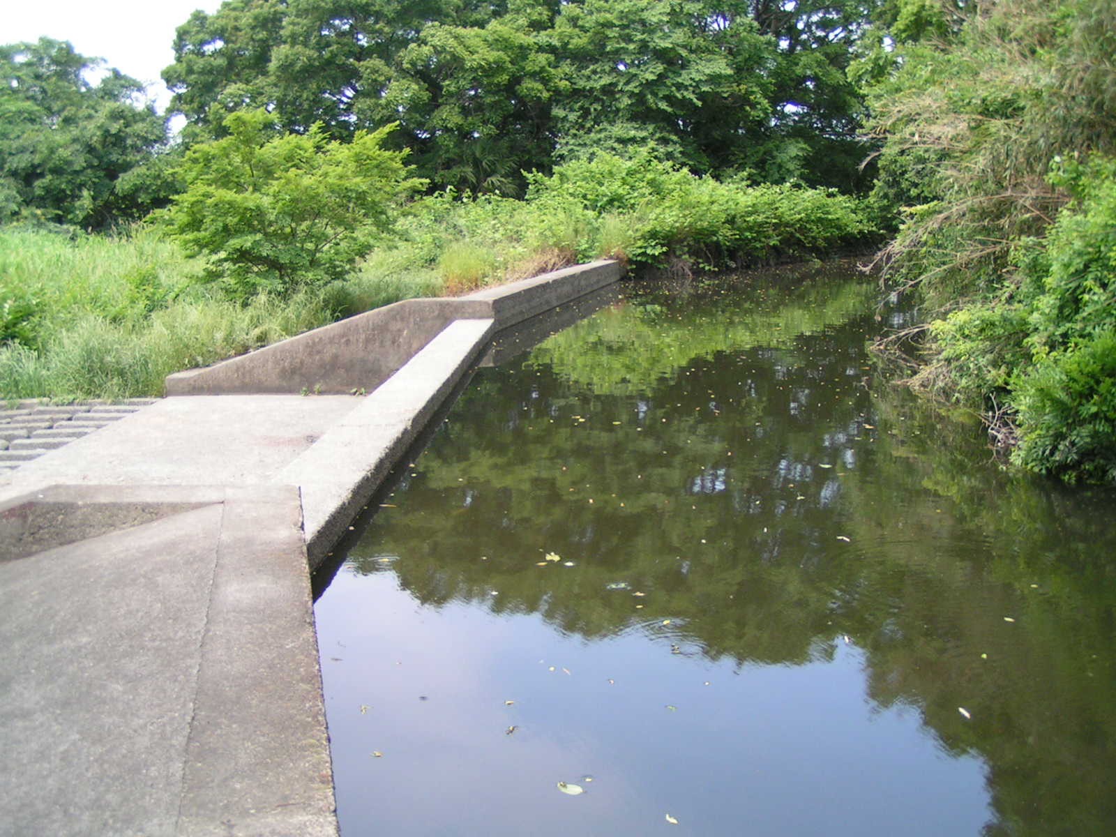 c0112172_3205477.jpg