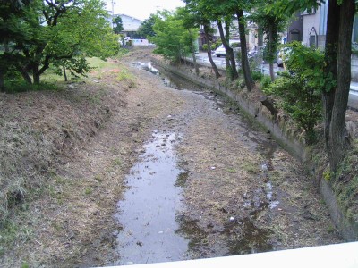 c0112172_32109.jpg
