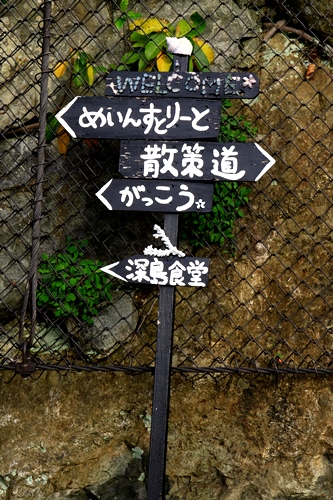 d0126577_0171070.jpg