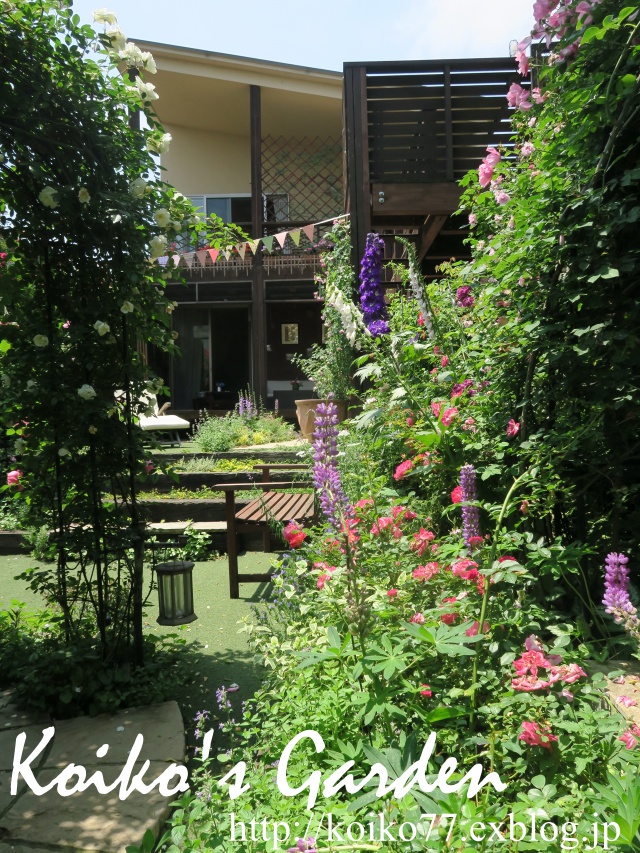 d0049381_8592751.jpg