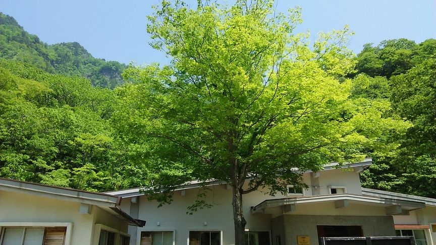 b0091187_22385542.jpg
