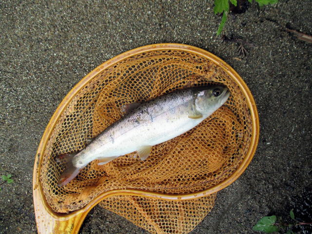 b0034897_20245819.jpg