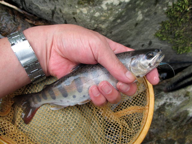 b0034897_20253486.jpg
