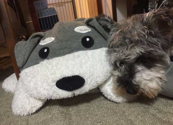 b0188998_13413476.jpeg