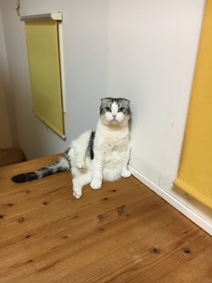c0011300_21244031.jpeg