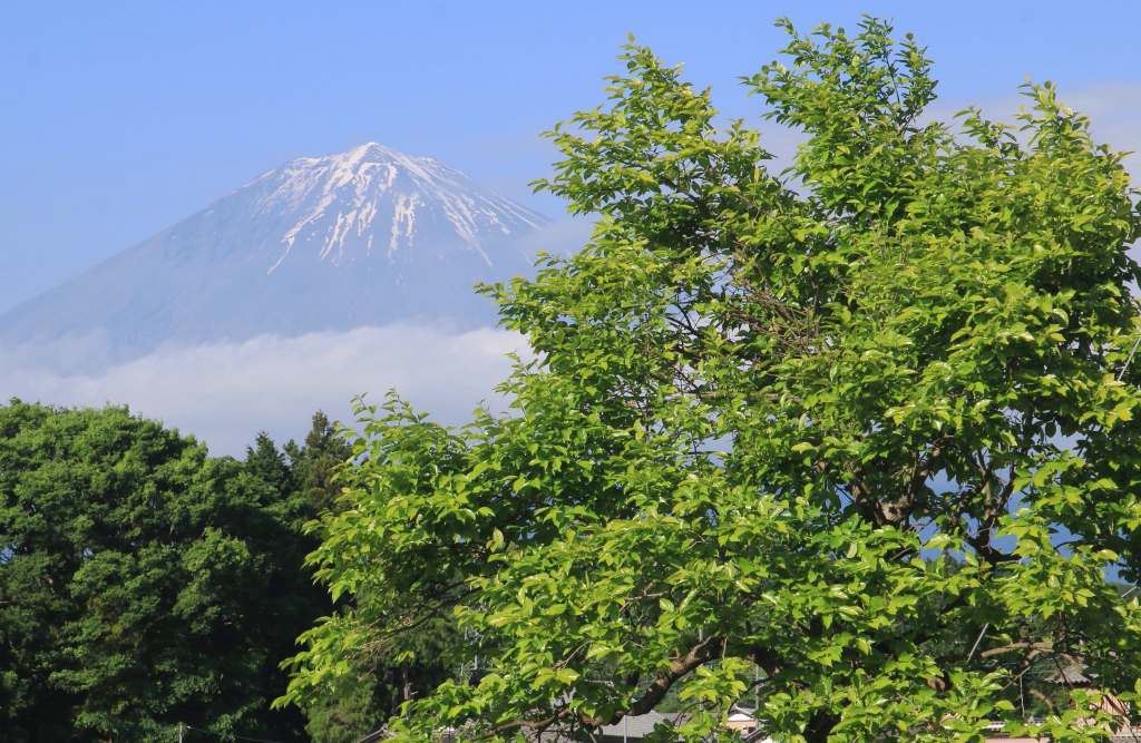 a0188405_16133176.jpg