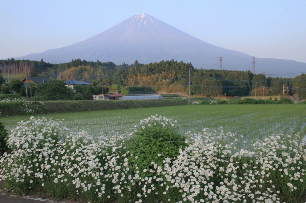 a0188405_22334314.jpg