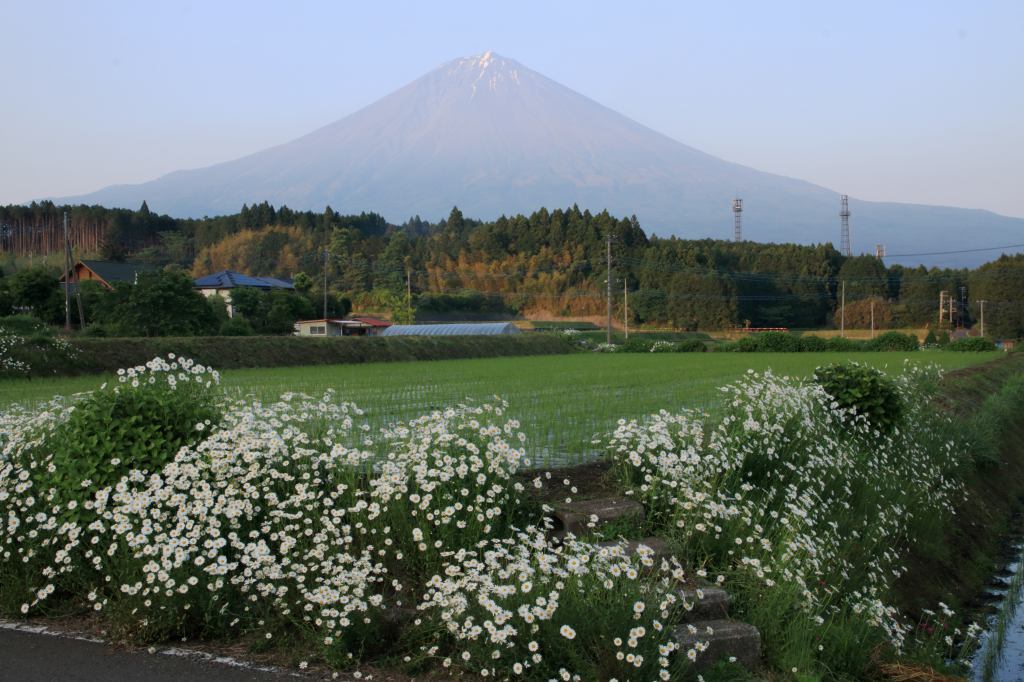 a0188405_22335252.jpg