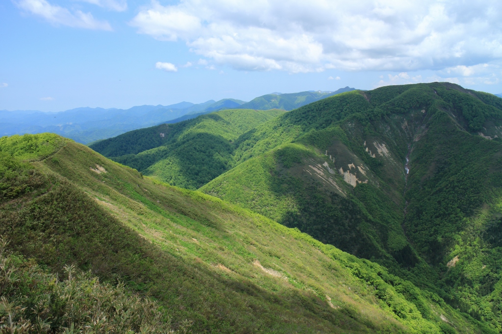 b0050305_2134336.jpg