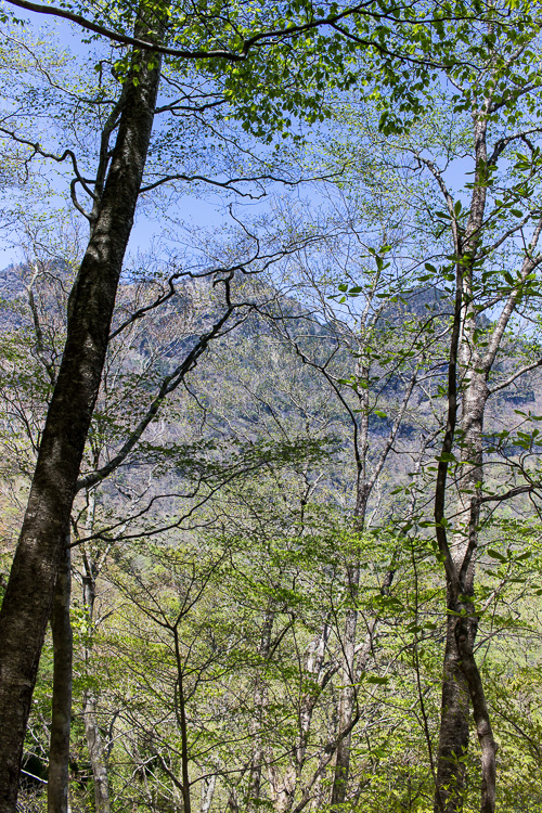 b0244811_21242235.jpg