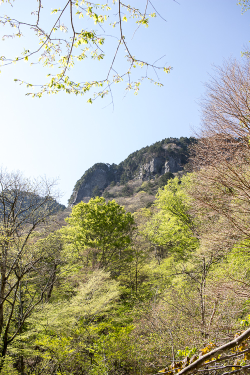 b0244811_2127268.jpg