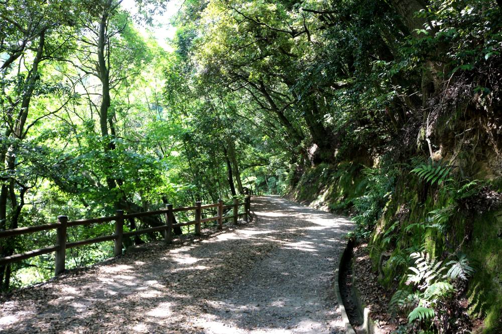 f0212511_22172098.jpg