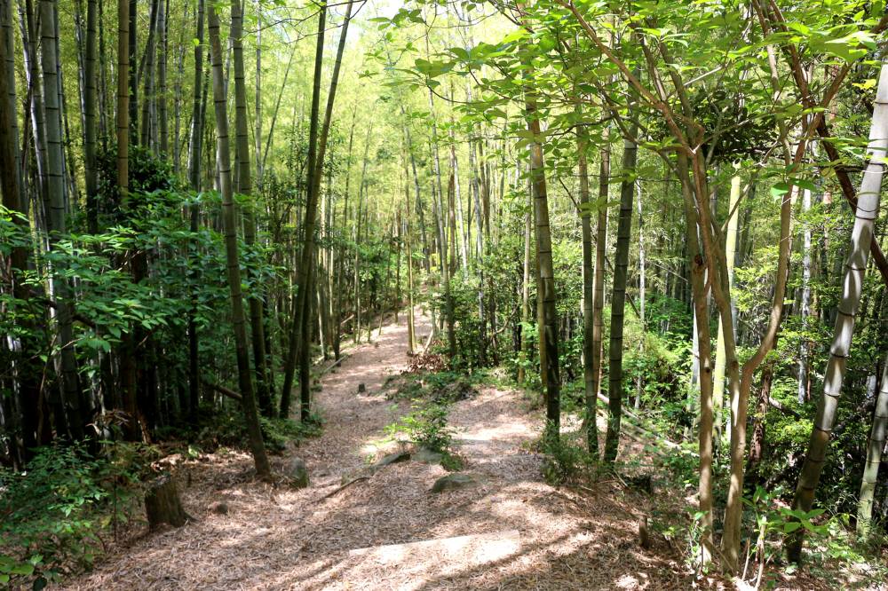 f0212511_22173485.jpg