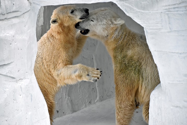 a0151913_22443489.jpg