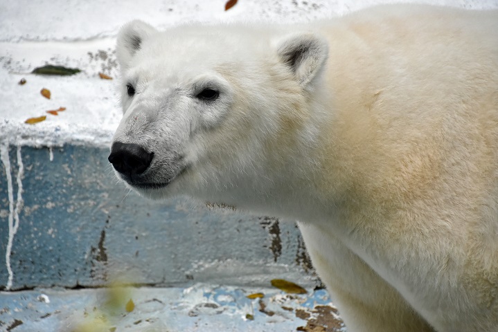 a0151913_22484394.jpg