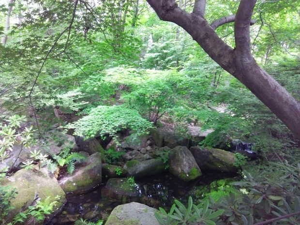 e0033713_18132121.jpg
