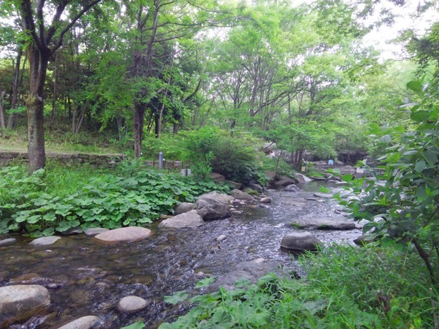 e0033713_18133532.jpg