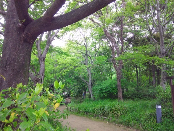 e0033713_18345841.jpg